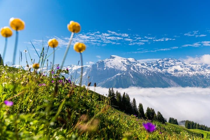 Mt Titlis Glacier Paradise Tour from Zurich With Lucerne