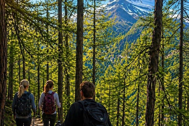 Matterhorn Hike with guide plus cable train ticket