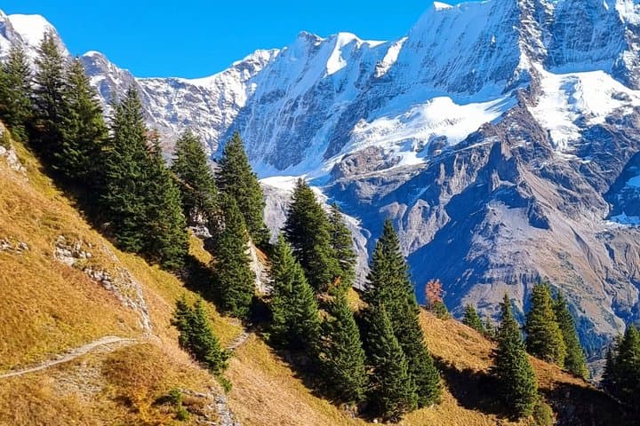 Guided Hiking Experience in Mürren Grindelwald and Interlaken