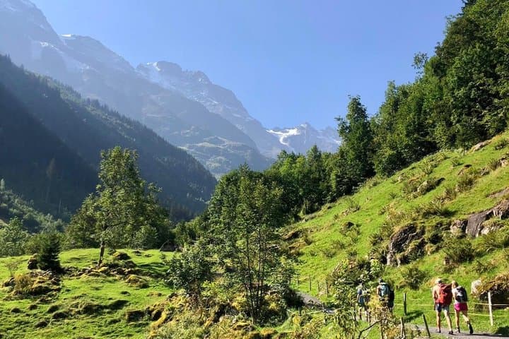 Guided Hiking Experience in Mürren Grindelwald and Interlaken