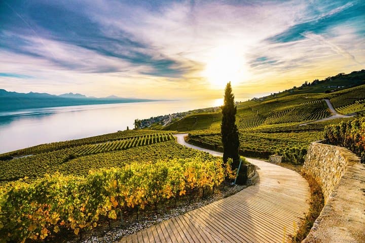 Geneva City Private Tour with Minivan