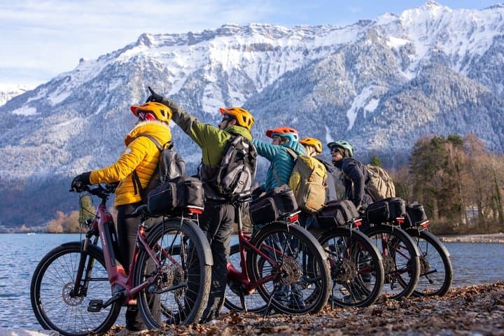 Scenic E Bike Adventure in Interlaken with transfer from Zurich