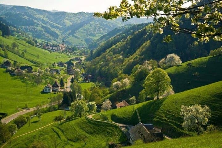 From Basel: French Villages and Black Forest in Small Group