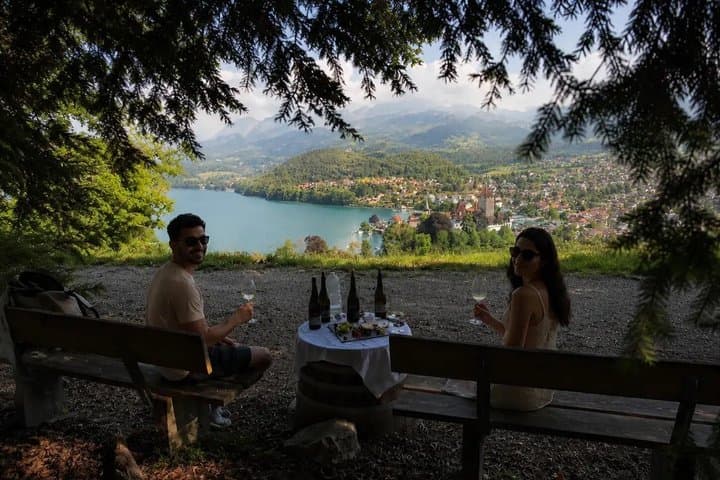 Interlaken Wine and Cheese Tasting at Spiez Castle Vineyards Tour