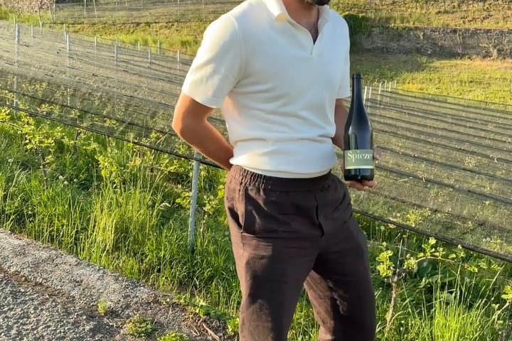 Interlaken Wine and Cheese Tasting at Spiez Castle Vineyards Tour