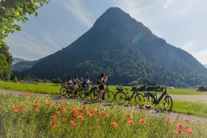 Interlaken Valley E-Bike Tour: Rivers, Lakes, Forests & Castles