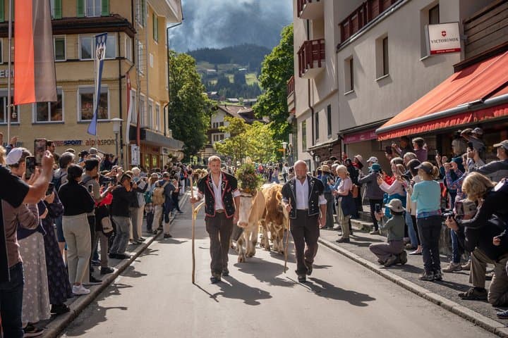 Lucerne: Sky Glass Bus to Interlaken, Grindelwald & Lauterbrunnen