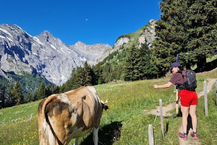 Multi-Day Switzerland Hiking Tour