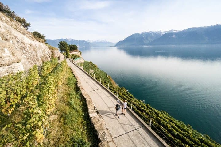 Lavaux Wine and Vineyard Experience with Boat Cruise