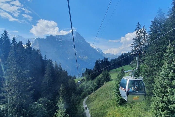 Mount First Cable Car and First Cliff Walk Grindelwald