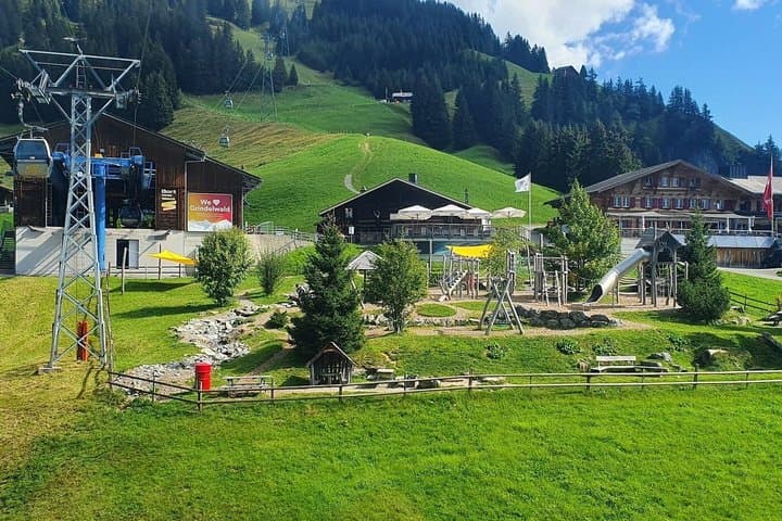 Mount First Cable Car and First Cliff Walk Grindelwald