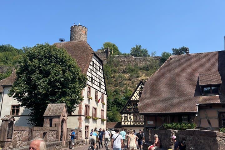 Alsace's Villages, Colmar and Castle Private Car Tour for 1-6