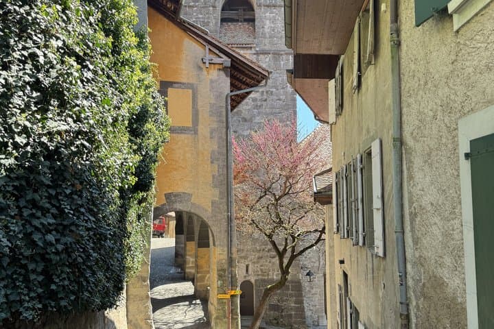 Private Lavaux Vineyard Tour with Wine Tasting and Scenic Views