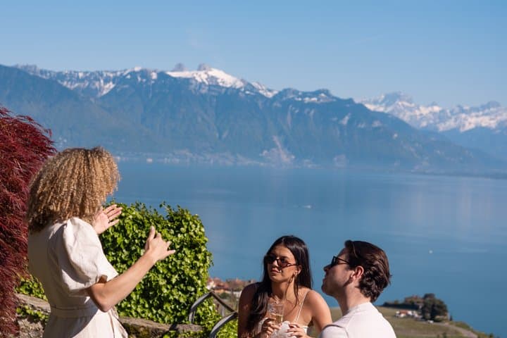 Private Lavaux Vineyard Tour with Wine Tasting and Scenic Views