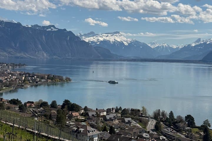 Private Lavaux Vineyard Tour with Wine Tasting and Scenic Views