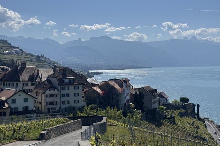 Private Lavaux Vineyard Tour with Wine Tasting and Scenic Views