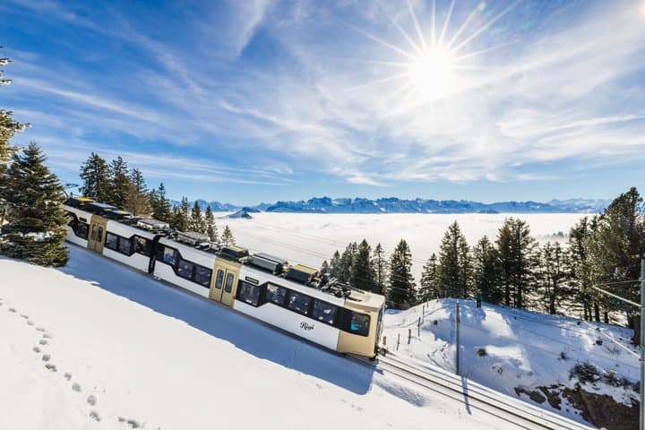 Mount Rigi Day Pass with Cogwheel Train and Cable Car
