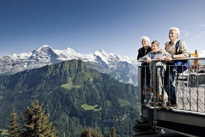Historic Schynige Platte Cogwheel Train Ticket from Interlaken