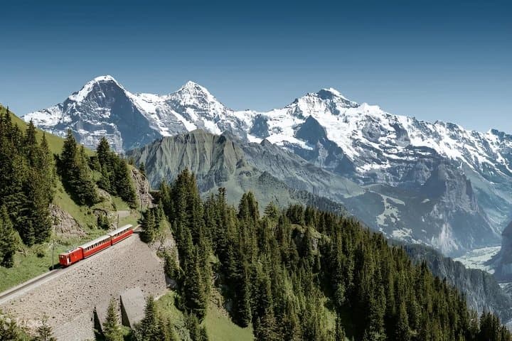 Historic Schynige Platte Cogwheel Train Ticket from Interlaken