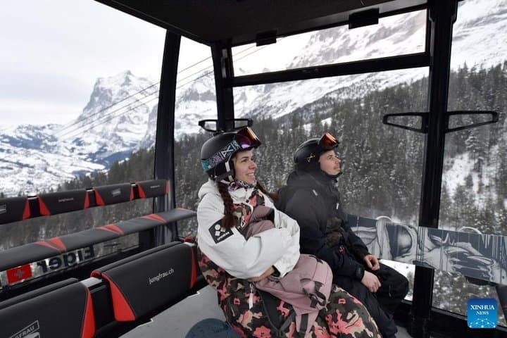 Jungfraujoch and Bernese Alps Ultimate Swiss Alpine Tour