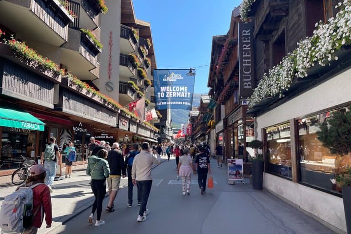 Tour of Switzerland Express in 4 days with Driver Local Guide
