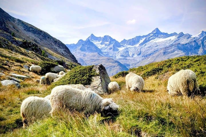 Guided Hike to Zmutt - The Hamlet Beneath Matterhorn