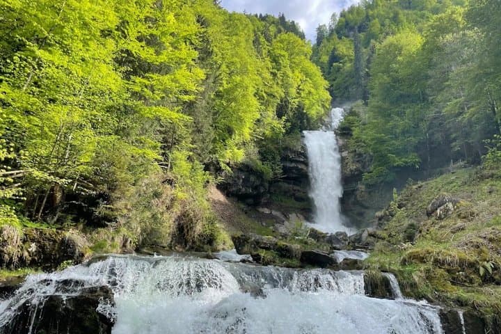 From Interlaken: Giessbach Waterfalls, Lake Cruise & Scenic train