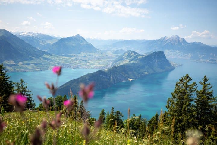 Mt. Rigi and Lake Lucerne Cruise Private Rail Tour
