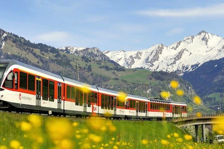 Eiger Express Glacier Experience Private Rail Tour from Zurich