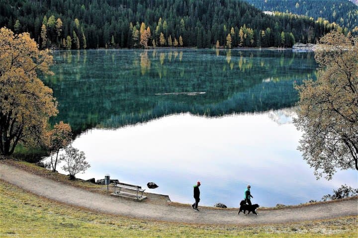 Direct Private Transfer from Zurich to Davos