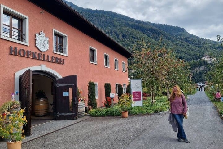 Private Liechtenstein Tour: Wine Tasting & Alpine Views