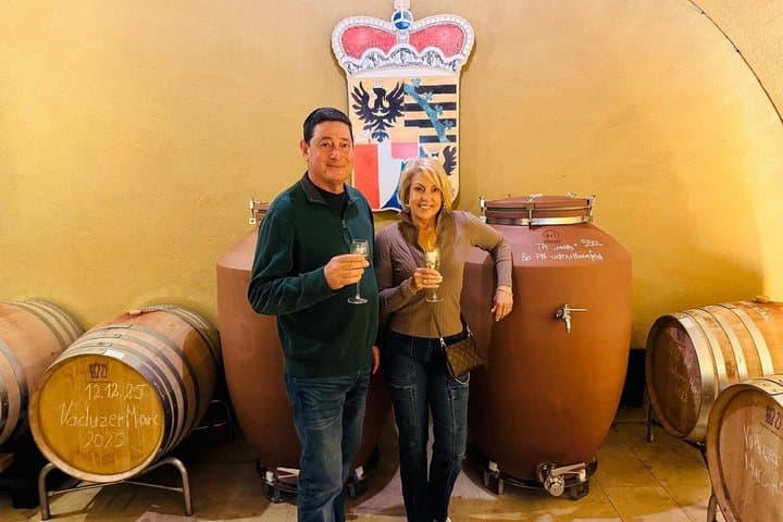 Private Liechtenstein Tour: Wine Tasting & Alpine Views