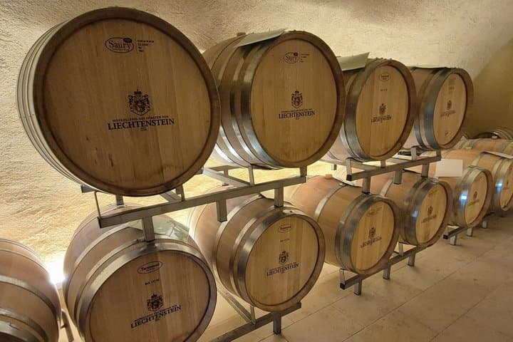 Private Liechtenstein Tour: Wine Tasting & Alpine Views