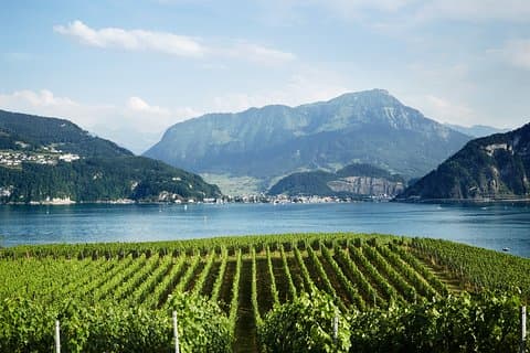 Chocolate, Cheese and Wine Tour in Luzern region