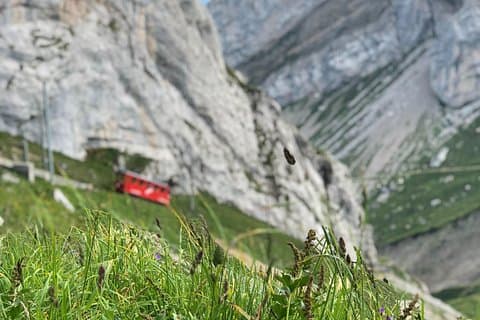 Mt. Pilatus & Lake Lucerne Cruise Private Tour | From Basel