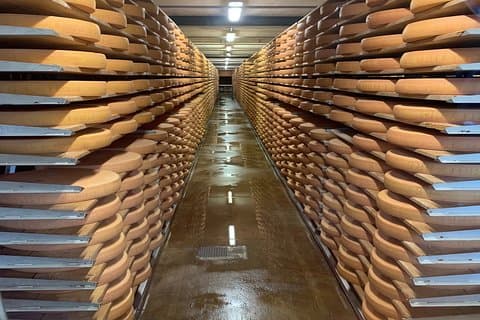 Gruyères Castle, Cheese, and Chocolate Tour | From Zurich