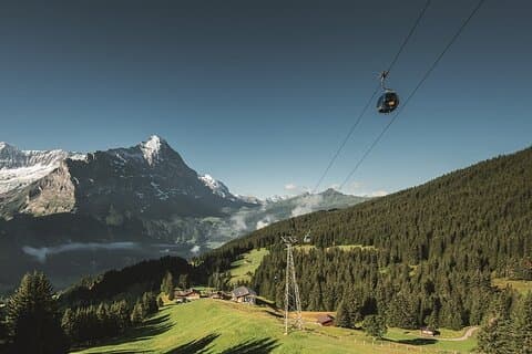 Mt. First Top Adventure Cable Car