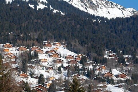 Private Tour to Les Diablerets and Montreux