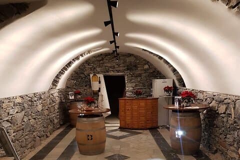 Activity in private minibus, wine tasting in Valais