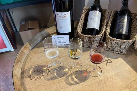 Wine tasting at the castle of Eagle