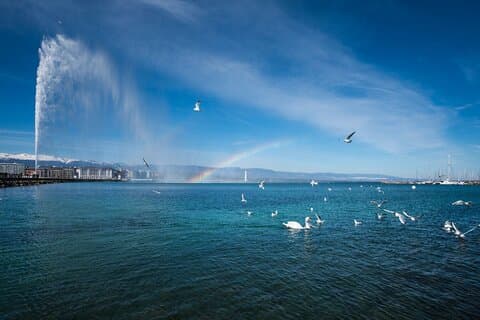 Private Tour : The best of Geneva city tour