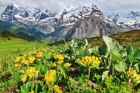 Hike Lauterbrunnen-Murren including Trummelbach Waterfalls Visit