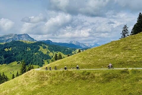 PRIVATE E-Bike Tour Habkern Cheese Tasting from Interlaken