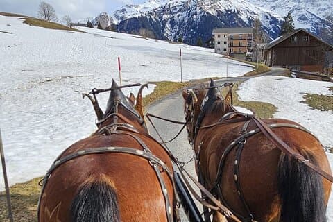 Winter Horse Carriage Experience (Private Tour)