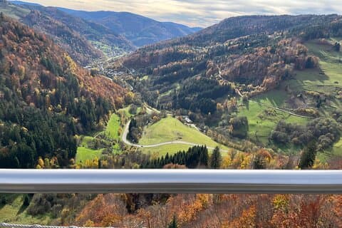 Three countries+ Blackforest and Alsace Private Car Tour for 1-6
