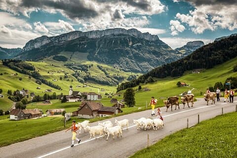 Typical Swiss Villages
