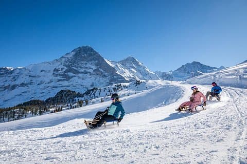 From Zurich: Alpine Winter Sledging Adventure Private Tour