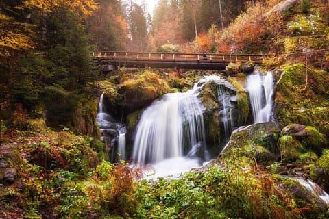 From Zurich: Black Forest & Lake Titisee Small-Group