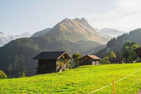 Small Group Tour - Bernese Oberland