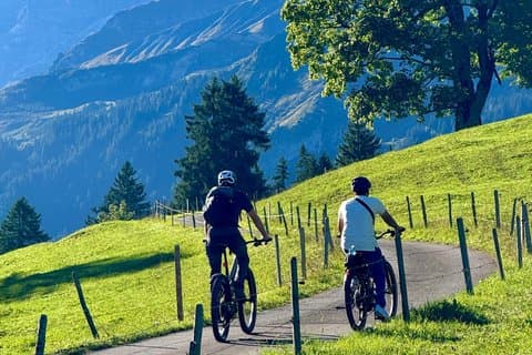 Griesalp UNESCO Alpine E-Bike Adventure from Interlaken